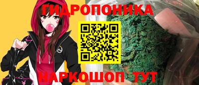 jwh Будённовск